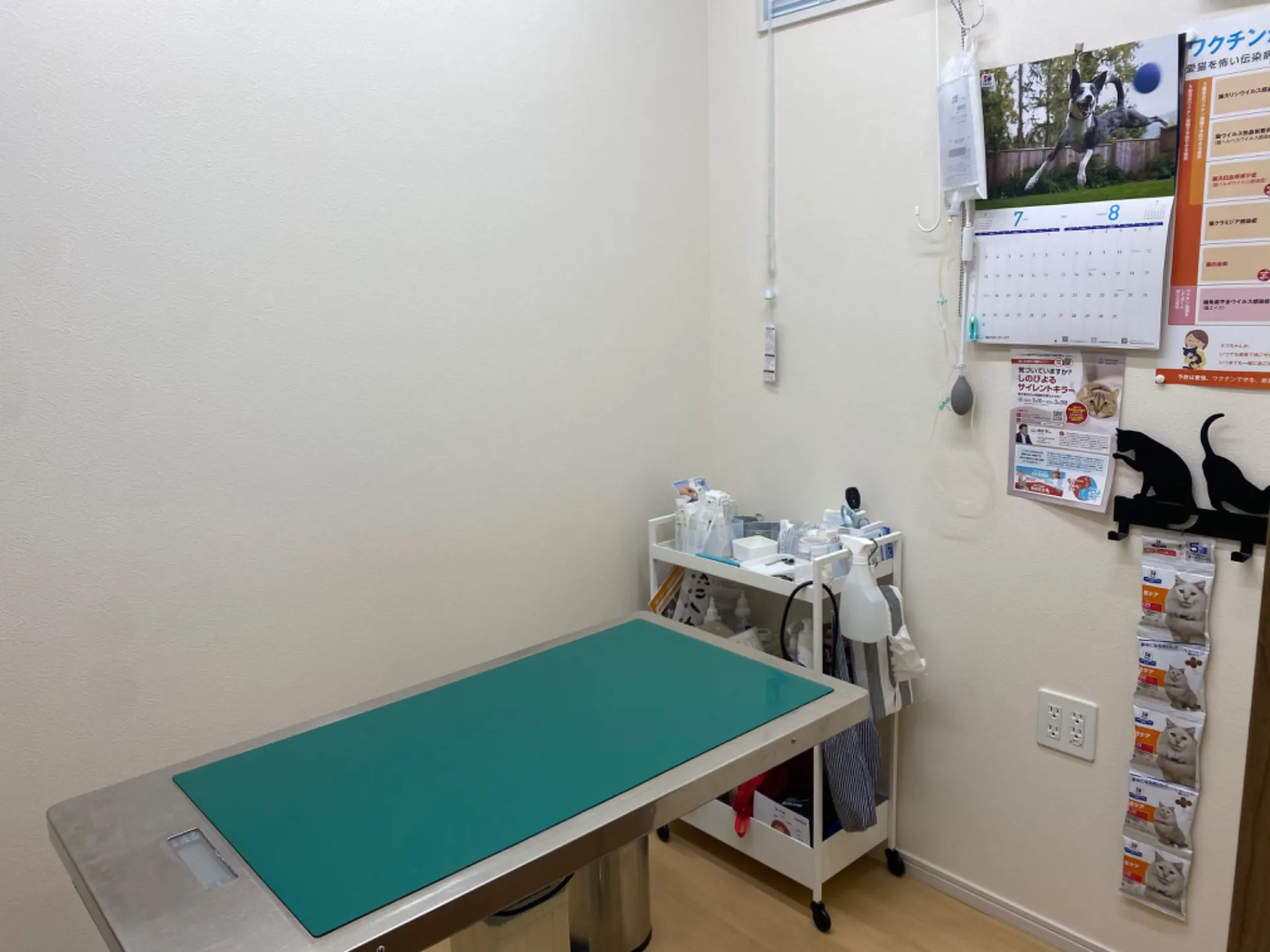 猫の診察室